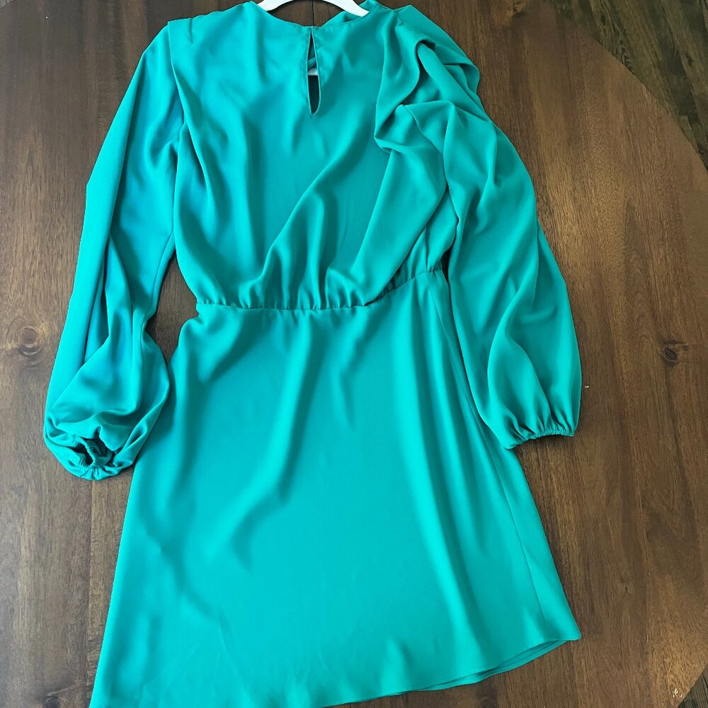 Amanda Uprichard Felicia Long Sleeve Mini Dress in Green Juniper